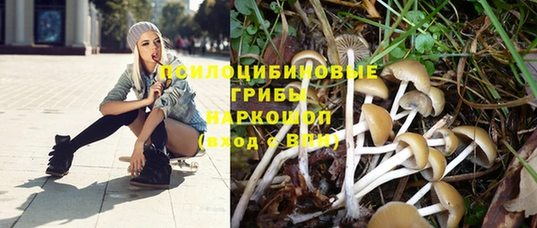 гидра Алексин