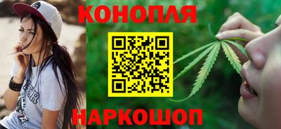 не бодяженный Гай