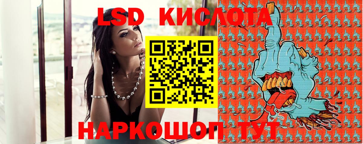 Камышлов  магазин продажи наркотиков  Наркотические марки  Вход с VPN  Марки NBOMe 1500мкг 