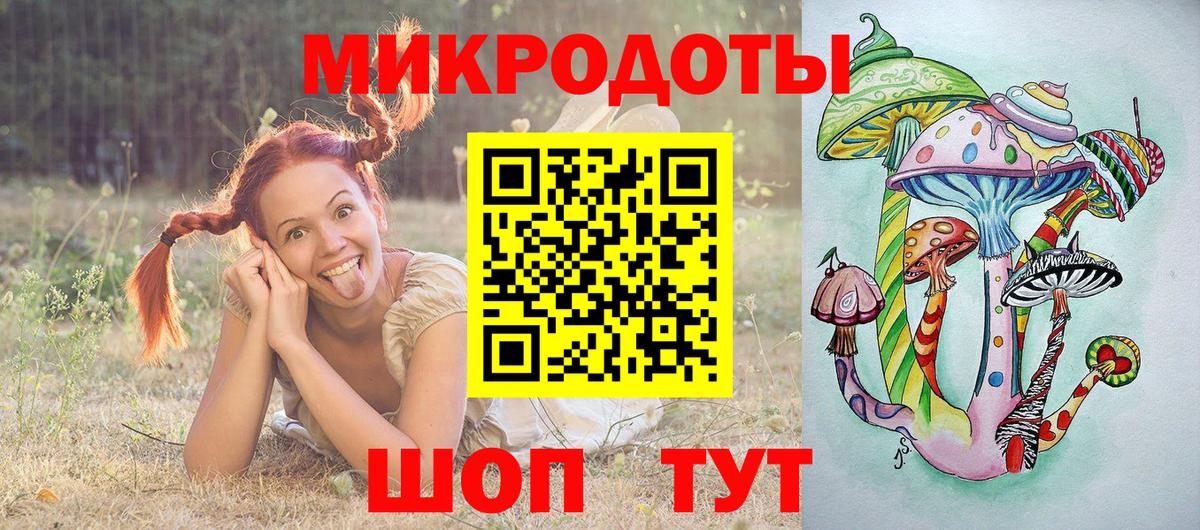 НБОМе Камышлов