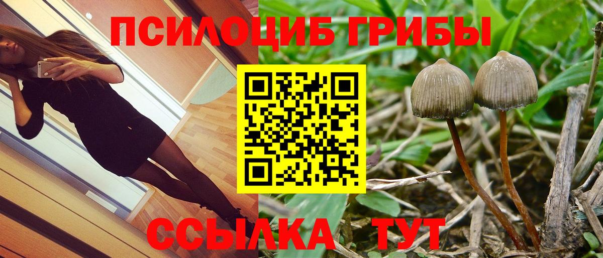 Псилоцибиновые грибы мухоморы Камышлов