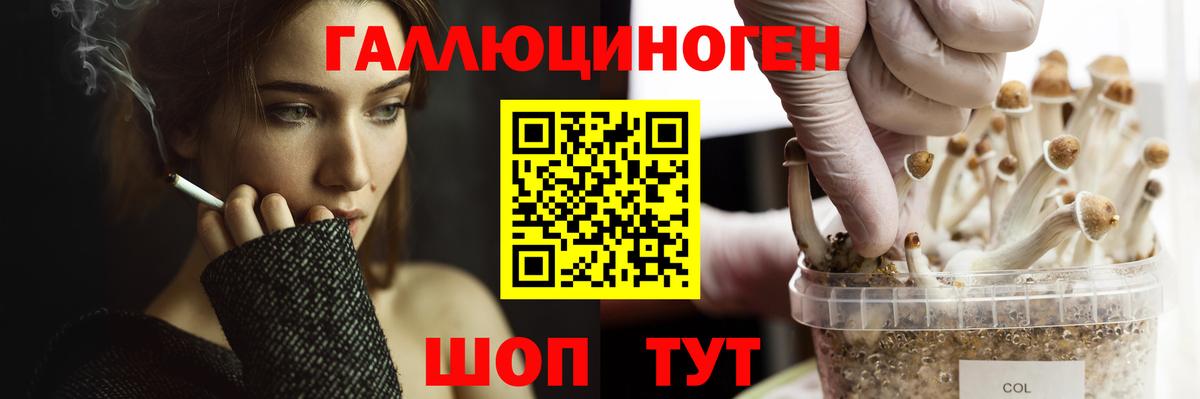 Галлюциногенные грибы мухоморы  дарнет шоп  Камышлов  Вход с VPN 